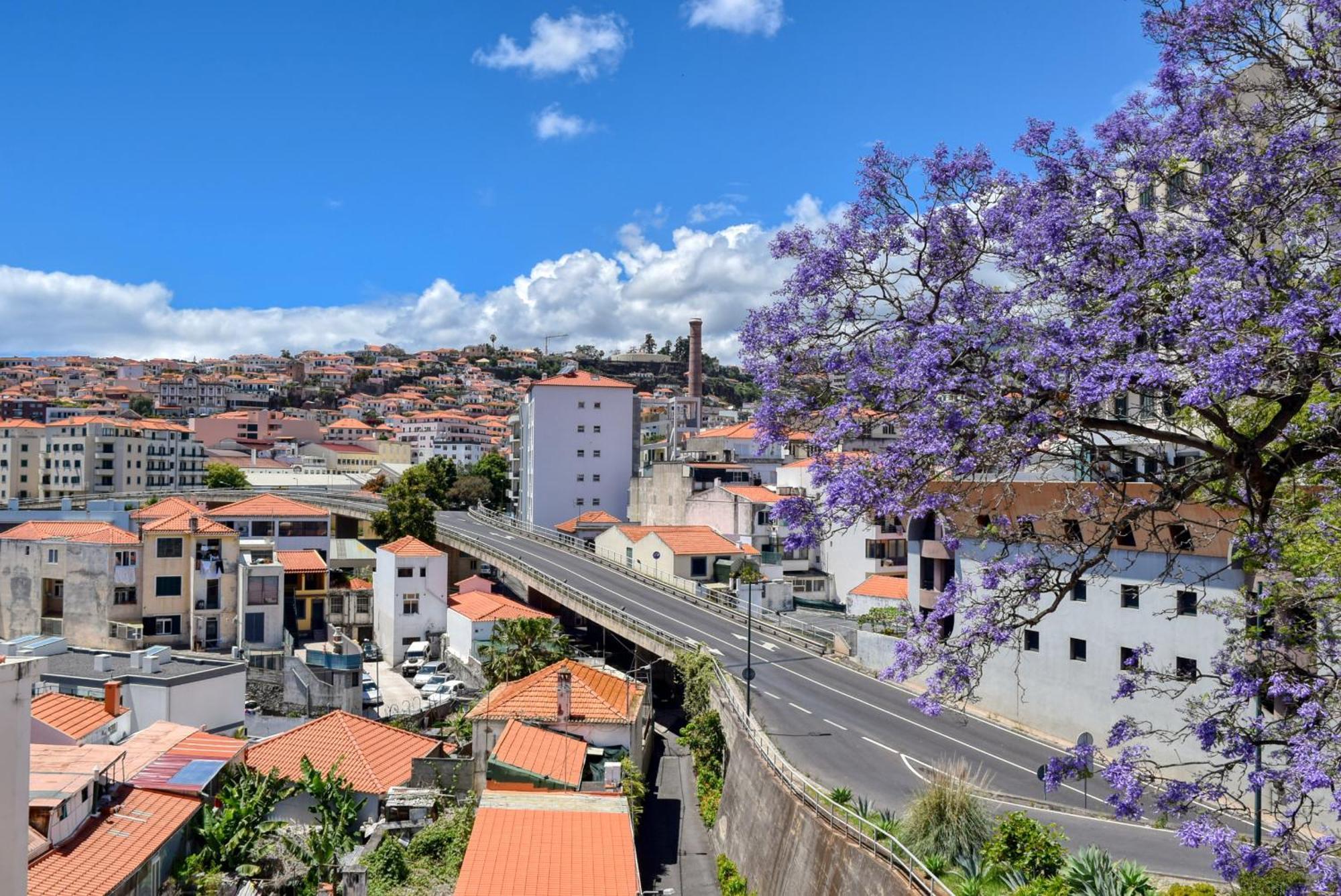 Encarnacao Apartment, A Home In Madeira Funchal  Exterior photo